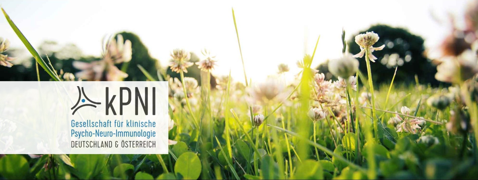 Banner mit Klee und Logo