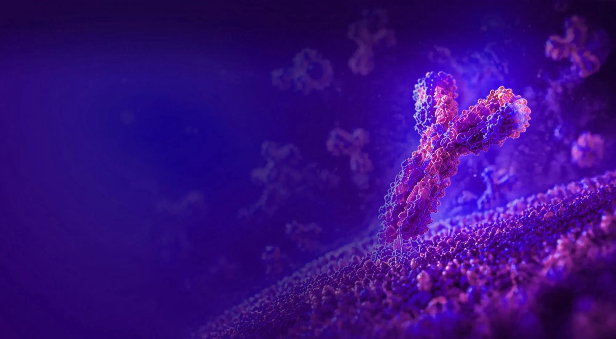 Dreidimensionale Illustration eines Chromosoms, umgeben von Antikörpern, vor violettem Hintergrund